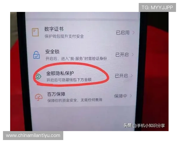 米兰app网页版登录页面常见问题及解决方法，保障账号安全